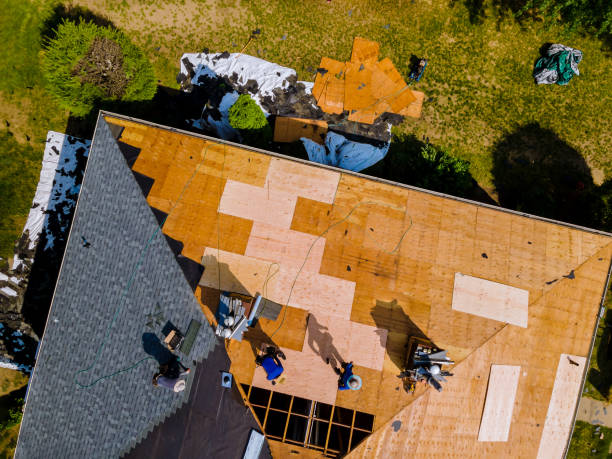 Best Roof Repair Services  in Shaker Heights, OH
