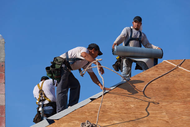 Best Flat Roof Repair Services  in Shaker Heights, OH