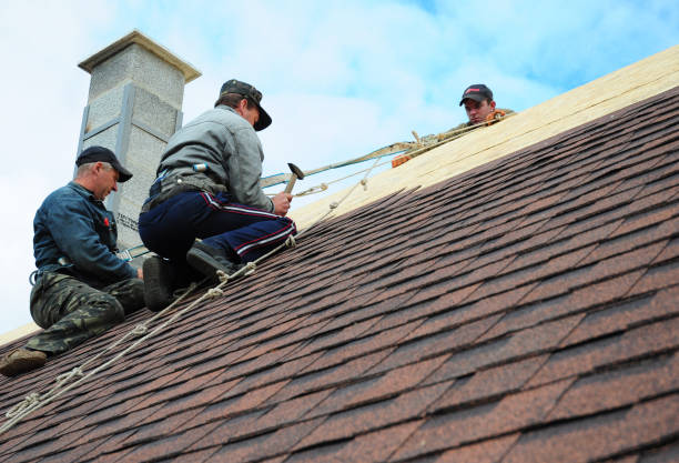 Best Local Roofing Companies  in Shaker Heights, OH